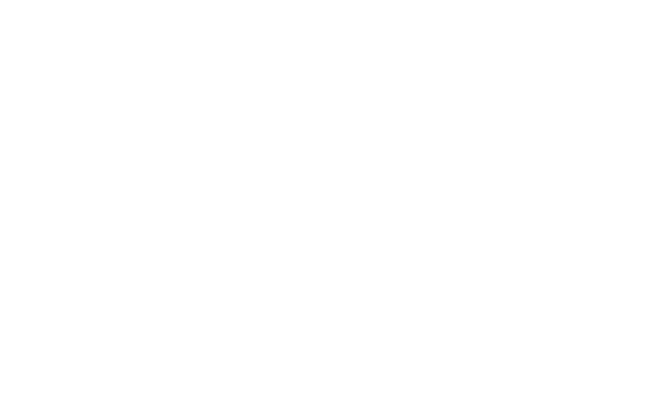 BDO Alliance